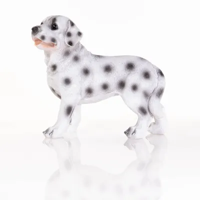 Zdjęcie produktu dla Figurka ogrodowa pies dalmatyńczyk, wys. 28 cm, ze sztucznego kamienia