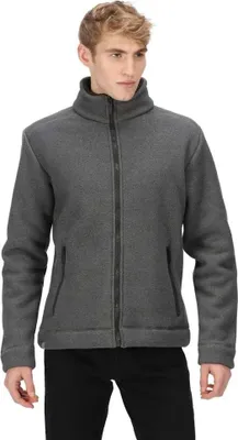 Image de Regatta Garrian Ii Polaire Gris L Homme Gris L