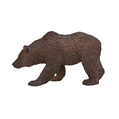 Image de Animal Planet Grizzly