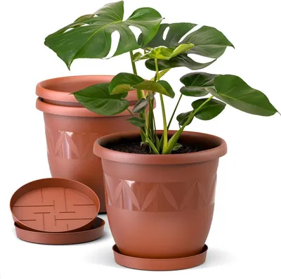 A set of terracotta-colored plant pots with a plant in one of them, and a saucer.
