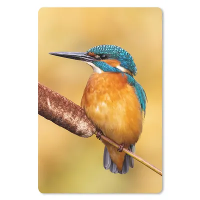 Produktbild von MuchoWow® Mauspad Mousepad Eisvogel - Natur - Vogel 40x60 cm - Mousepads - Maus Mat - Pad - Mausunterlage - Schreibtisch Accesoire