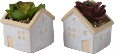 Produktbild von Sukkulenten Kunstpflanzen im Topf 8cm grün / bordeaux 1 Stück sortiert