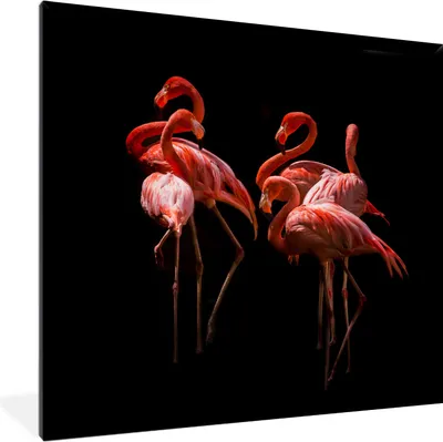 Produktbild von MuchoWow® MuchoWow® Gerahmtes Poster Flamingo - Rosa - Schwarz 40x40 cm - Poster mit zchwarzem Bilderrahmen - Mit Rahmen - Wanddekoration Schlafzimmer