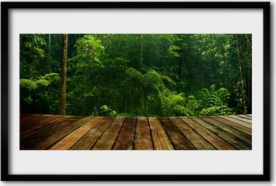 Produktbild von Bild 60x40 MDF-Rahmen Wandkunst Wald Natur Pflanze