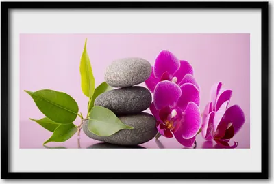 Produktbild von Bild 60x40 MDF-Rahmen Wandkunst Orchidee Orchidee Blumen