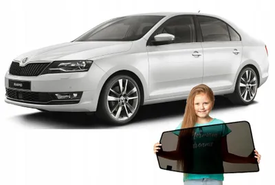 Produktbild von RayStop Sonnenschutz Magnetisch für Skoda Rapid Liftback Sedan