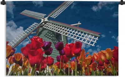 Produktbild von MuchoWow® Wandteppich Wandbehang Tulpen vor einer Mühle 90x60 cm Tapisserie Dekoration Wandtuch - Wandskulpturen - Bildteppich