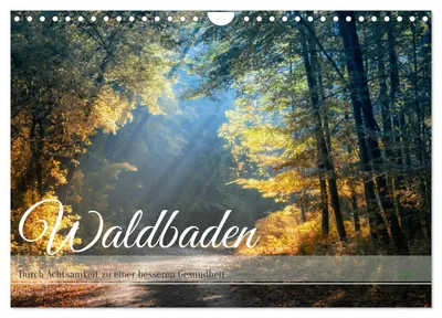Produktbild von Waldbaden - Durch Achtsamkeit zu einer besseren Gesundheit (Wandkalender 2027 DIN A4 quer), CALVENDO Monatskalender