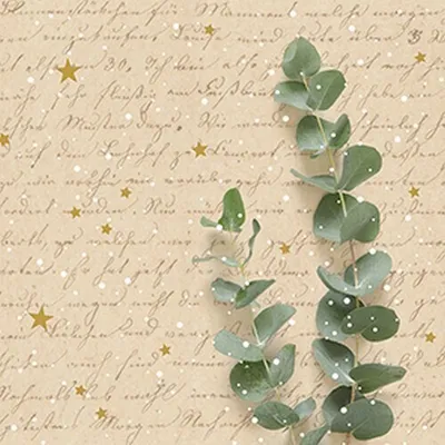 Produktbild von 20 Servietten Winterstyle - Grüne Blätter auf Handschrift 33x33cm