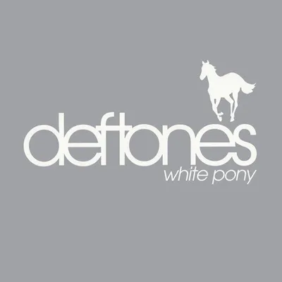 Immagine prodotto di Pony bianco