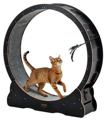 Image de Roue d'exercice pour chats VEVOR, diamètre intérieur 1080 mm, roue d'exercice en bois pour chats de 8,6-12,7 kg, tapis d'exercice pour chats avec surface de course en moquette & mécanisme de verrouillage, jouet silencieux pour chats d'appartement, noir