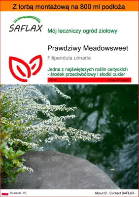 Zdjęcie produktu dla SAFLAX - Garden in the bag - Prawdziwy Meadowsweet - 500 Nasiona - Z podłożem uprawowym w praktycznej, samorozkładającej się torbie - Filipendula ulmaria