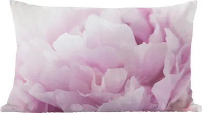 Produktbild von MuchoWow® Zierkissen Sofakissen Wohnzimmer Dekokissen 50x30 cm Nahaufnahme einer rosa Pfingstrose - Wohnzimmerdekoration - Polster mit Photo