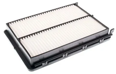 Imagen del producto de Filtro de aire del motor Kia, modelo 28113A9100