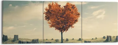 Produktbild von Bild auf Leinwand - Leinwandbild - Baum Natur Wiese - 150x50cm - Wand Bild - Wanddeko - Wandbilder - Leinwanddruck - Bilder - Kunstdruck - Wanddekoration - Leinwand bilder - Wandkunst - CA150x50-3751