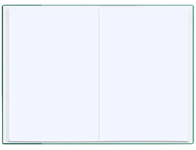Immagine prodotto di ROTH 89311 ROTH Zeugnismappe "Spectrum", DIN A4, mint