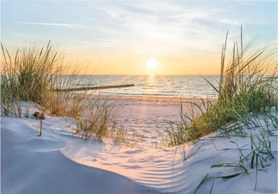 Produktbild von Fototapete Strand und Meer Ostsee Natur Dünen 400x280 cm - inkl. Kleister - für Schlafzimmer Wohnzimmer Flur Modern Vlies Tapete Vliestapete Wandtapete Motivtapeten UV-Beständig