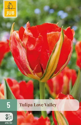 Produktbild von Warentuin Produkt