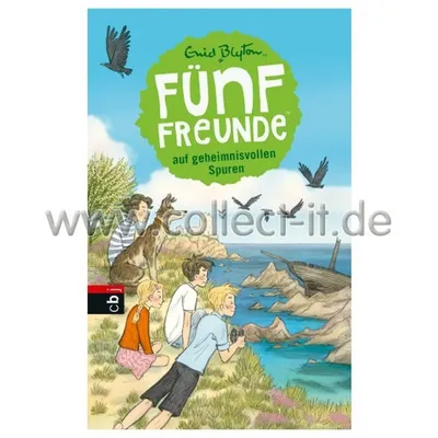 Image de Fünf Freunde 03. Fünf Freunde auf geheimnisvollen Spuren