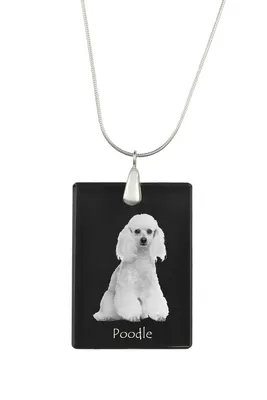 Produktbild von Pudel - Kristallanhänger mit Hund, Silberhalskette mit Foto, personalisierter Anhänger der Marke Art-Dog