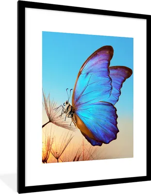 Produktbild von MuchoWow® Gerahmtes Poster Schmetterling - Löwenzahn - Blau 60x80 cm - Poster mit Schwarzem Bilderrahmen Wandposter Rahmen Foto Bilder - Wohnzimmer - Dekorationen - Prämie