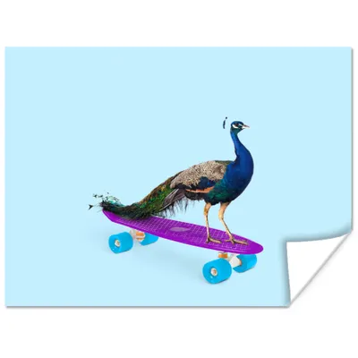 Produktbild von MuchoWow® Poster Pfau - Blau - Skateboard - Tiere - Lustig 160x120 cm - Foto Plakat