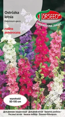 Produktbild von Samen der Sommer-Sandelrose gemischt 4g - Torseed