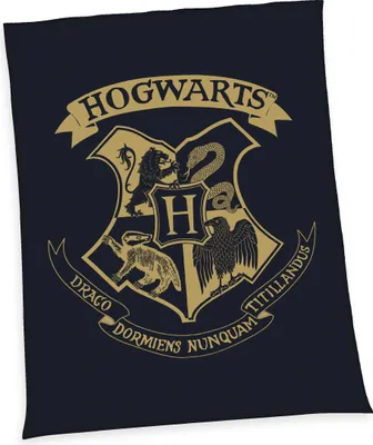 Produktbild von Harry Potter Wellsoft-Flauschdecke / 150x200 cm