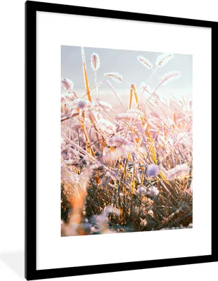 Produktbild von MuchoWow® Gerahmtes Poster Gras - Sonne - Winter - Schnee 60x80 cm - Poster mit Schwarzem Bilderrahmen Wandposter Rahmen Foto Bilder - Wohnzimmer - Dekorationen - Prämie