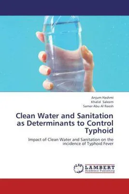 Produktbild von Hashmi, A: Clean Water and Sanitation as Determinants to Con