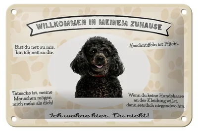 Produktbild von Blechschild Spruch 18x12cm Tiere Pudel willkommen Zuhause Dekoration