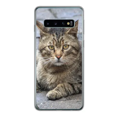 Produktbild von MuchoWow® Handyhülle Schutzhülle Hülle für Samsung Galaxy S10 Katze - Tier - Braun - Mädchen - Kinder - Jungen - Kind Silikon Softcase Handy Hülle - Handytasche