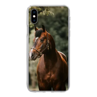 Produktbild von MuchoWow® Handyhülle Schutzhülle Hülle für iPhone Xs Pferd - Äste - Porträt Silikon Softcase Handy Hülle - Handytasche