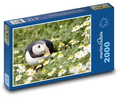 Obrázek produktu pro martinpuzzle - Puzzle 2000 - Pták - Papuchalka