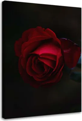 Image de Tableau sur toile rose sur fond noir 60x90 cm Feeby rouge tableau mural prêt à accrocher