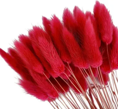 Produktbild von 50 flauschige künstliche Hasenschwänze, rustikaler Boho-Strauß für Hochzeits- und Tischdekorationen