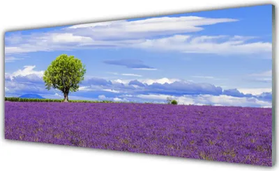 Produktbild von Acrylglasbilder 125x50 Wandbild Druck Wiese Baum Natur
