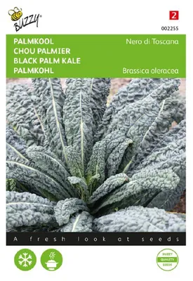 Immagine prodotto di Cavolo nero di Toscana | Semi di cavolo di Buzzy Seeds