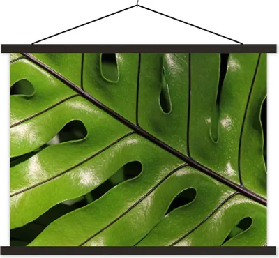 Produktbild von MuchoWow® Textilposter Tropische botanische Blätter leuchten in der Sonne 60x45 cm mit schwarzem Rahmen - Poster Schlafzimmer