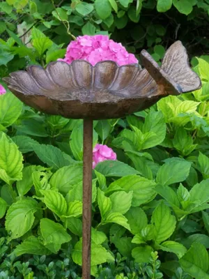 Produktbild von Gartenstecker Vogeltränke Deliah mit Schmetterling
