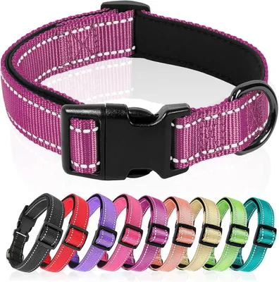 Obrázok produktu pre Psí obojok M, neopren nylon, reflexný, mäkký a nastaviteľný