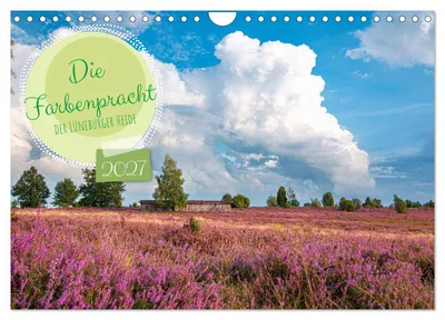 Produktbild von Die Farbenpracht der Lüneburger Heide (Wandkalender 2027 DIN A4 quer), CALVENDO Monatskalender