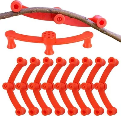 Image de Bonsai-Taktrainer pour arbres fruitiers - Façonnage facile des branches