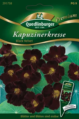 Produktbild von Quedlinburger Saatgut - Kapuzinerkresse Black Velvet - Samen - 291758