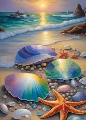 Productafbeelding van Schilderij op nummer: Kleurrijke schelpen op het strand, 40x50 cm, op canvas