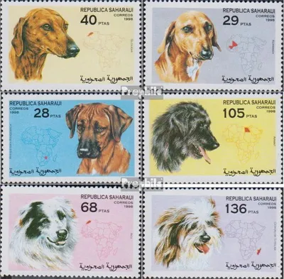 Produktbild von Briefmarken Sahara 1998 Mi Ausgabe der Exilregierung ohne Gültigkeit im int. Postverkehr Nr.47 postfrisch Hunde