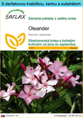 Obrázok produktu pre SAFLAX Darčeková sada - oleander - Nerium oleander - 50 Semená - S darčekovou krabičkou, prepravným štítkom, darčekovou kartou a pestovateľským médiom