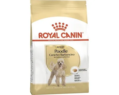 Produktbild von Royal Canin Poodle Adult - 1,5 kg