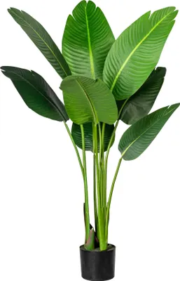 Produktbild von Kopu® Kunstpflanze Strelitzia Nicolai 120 cm - Paradiesvogelpflanze 8 Blätter