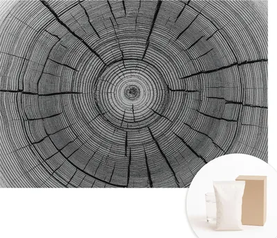 Obrázek produktu pro Samolepicí fototapeta – nástěnné malby do obývacího pokoje – 208 x 146 cm – dekorativní fólie na stěny – moderní design pro výzdobu stěn – tapety do interiérů – harmonie lesa